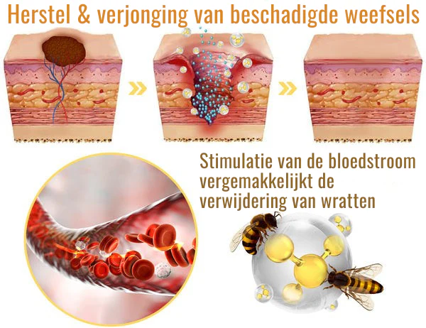 Productafbeelding 3