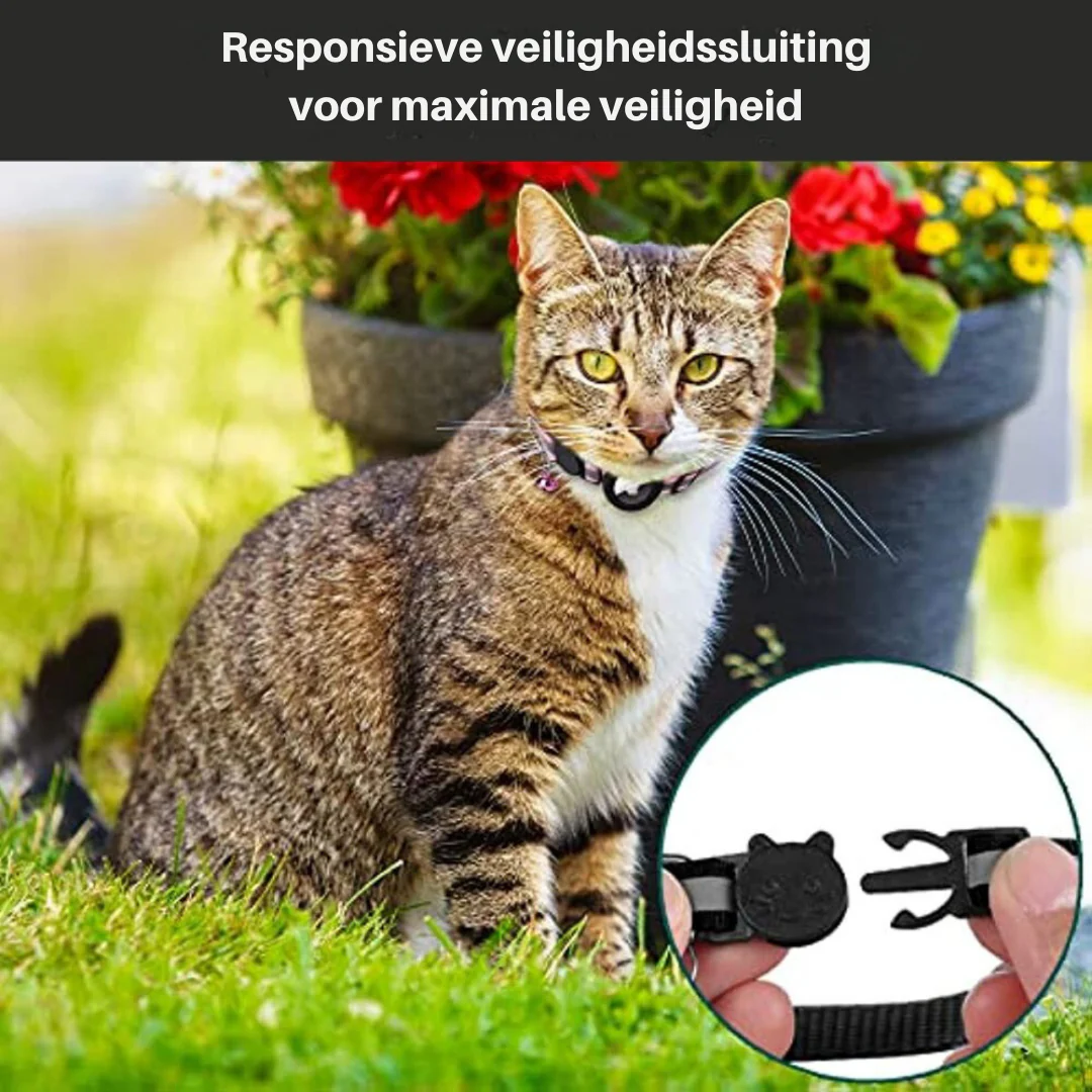 Productafbeelding 4